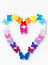 43274 FLYFEL®-web Butterflies