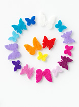 43281 FLYFEL�-web Butterflies