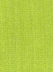 17146 Premium Pongee 05