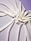 16063 D�vor� 08