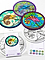 46634 ideengutta�-Window Panel Chameleon